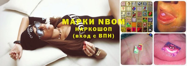 прущие крисы Елабуга