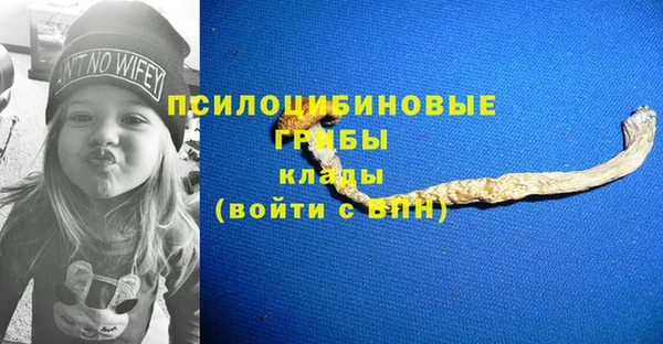 прущая мука Ельня