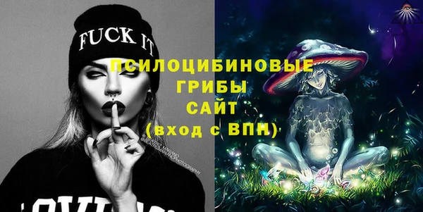 прущая мука Ельня