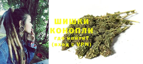 прущая мука Ельня