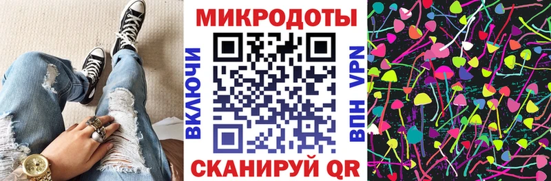 купить  цена  Заречный  Псилоцибиновые грибы GOLDEN TEACHER 
